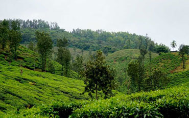 Chikamagalur